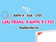 Giải KHTN 9 trang 9 Chân trời sáng tạo SGK